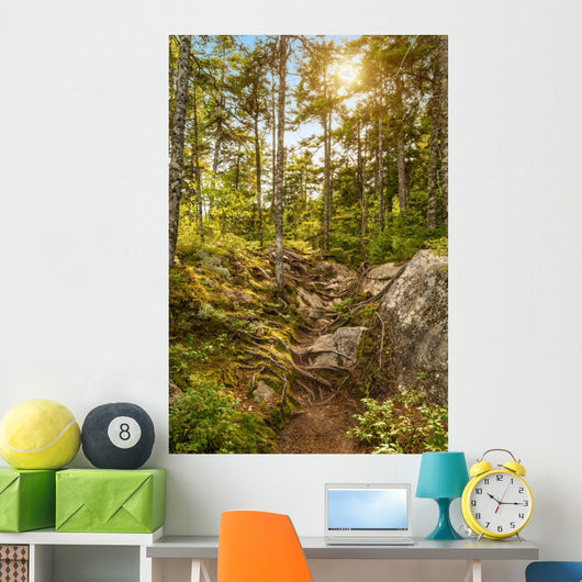 Moose Horn Trail Path Wall Decal
