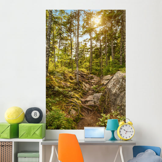 Moose Horn Trail Path Wall Decal
