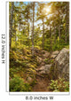 Moose Horn Trail Path Wall Decal
