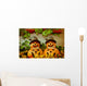 Autumn Pumpkin Decoration Wall Mural