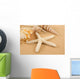 Seashell Wall Mural