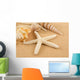 Seashell Wall Mural
