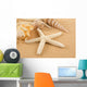 Seashell Wall Mural