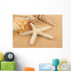 Seashell Wall Mural
