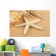 Seashell Wall Mural