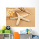 Seashell Wall Mural