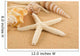 Seashell Wall Mural