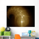Abstract Stars Wall Decal