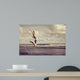 Teen Girl Jumping Beach Wall Decal
