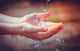 Woman's Hands With Water Splash Wall Decal