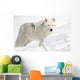 Arctic Wolf in the Snow Looking at the Camera Wall Mural