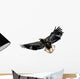 Harris's Hawk Wall Decal