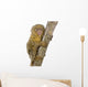 Pygmy Marmoset Wall Decal