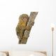 Pygmy Marmoset Wall Decal