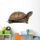 Box turtle on a white background Wall Decal