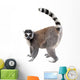 Lemur Wall Decal