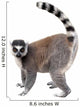 Lemur Wall Decal