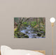 Shimna River Tullymore Forest Wall Decal