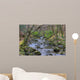 Shimna River Tullymore Forest Wall Decal