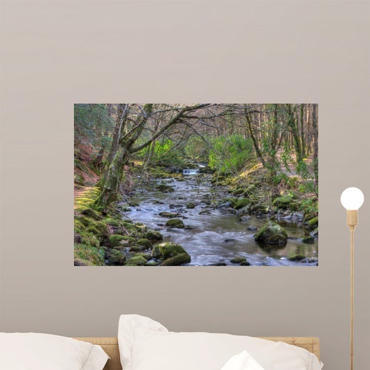 Shimna River Tullymore Forest Wall Decal
