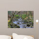 Shimna River Tullymore Forest Wall Decal