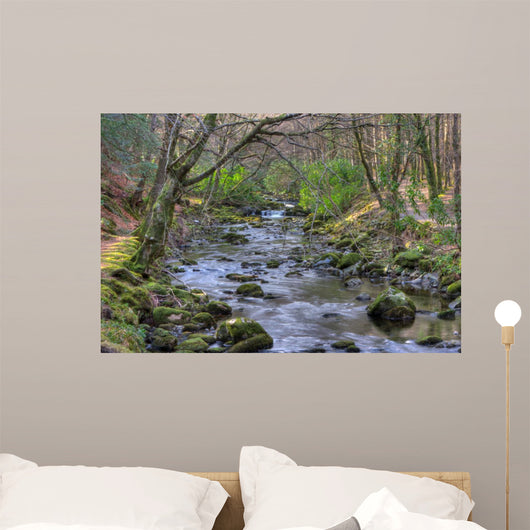 Shimna River Tullymore Forest Wall Decal