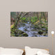 Shimna River Tullymore Forest Wall Decal