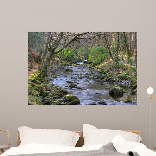 Shimna River Tullymore Forest Wall Decal