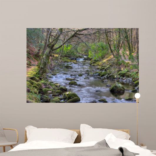 Shimna River Tullymore Forest Wall Decal