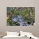 Shimna River Tullymore Forest Wall Decal