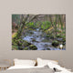 Shimna River Tullymore Forest Wall Decal
