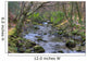 Shimna River Tullymore Forest Wall Decal