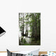 Cypress Tree With Spanish Moss Wall Mural
