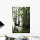 Cypress Tree With Spanish Moss Wall Mural