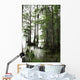 Cypress Tree With Spanish Moss Wall Mural