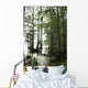 Cypress Tree With Spanish Moss Wall Mural
