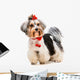 Yorkshire Terrier Wall Decal