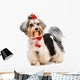 Yorkshire Terrier Wall Decal