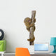 Pygmy Marmoset (5 weeks) - Callithrix (Cebuella) pygmaea Wall Decal