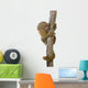 Pygmy Marmoset (5 weeks) - Callithrix (Cebuella) pygmaea Wall Decal