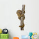 Pygmy Marmoset (5 weeks) - Callithrix (Cebuella) pygmaea Wall Decal