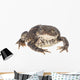 Bumpy Toad Wall Decal