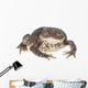 Bumpy Toad Wall Decal
