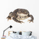 Bumpy Toad Wall Decal