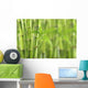 Bamboo Wall Decal