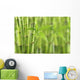 Bamboo Wall Decal