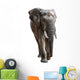 Elephant White Wall Decal