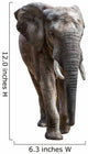 Elephant White Wall Decal
