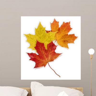 Basic Autumn Leaves Wall Decal shown on a wall