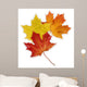 Basic Autumn Leaves Wall Decal
